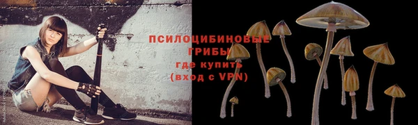 метамфетамин Пестово