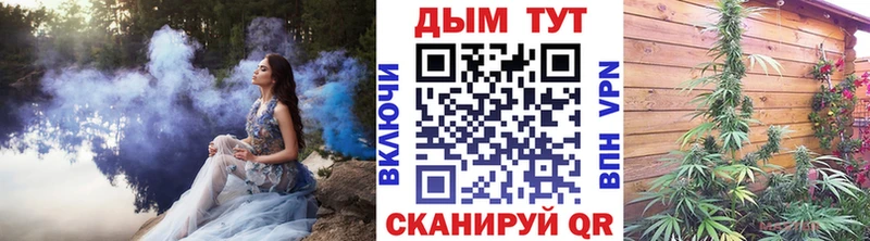 Купить где  Воронеж  Марихуана гибрид 